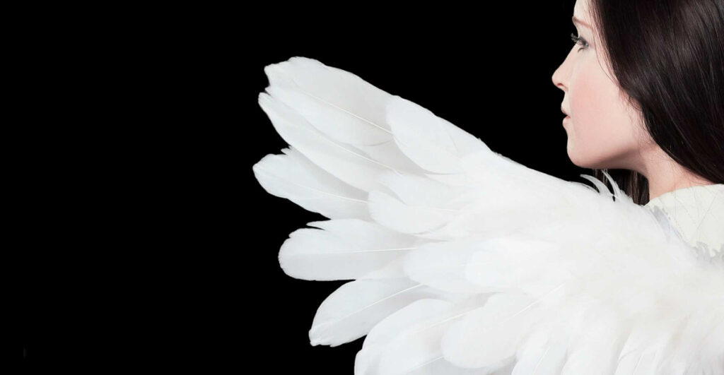 angel 515 wings