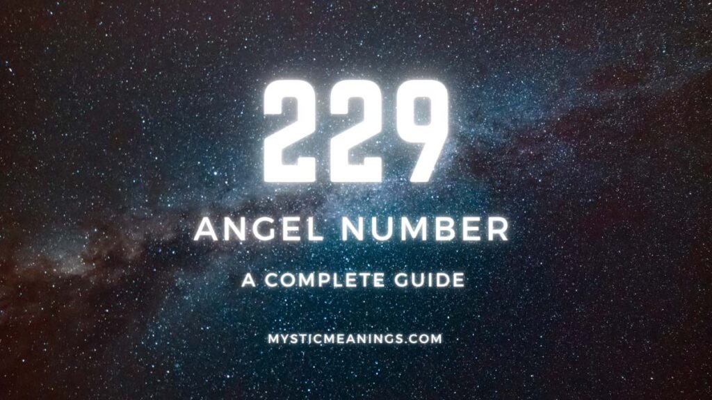 229 angel number guide