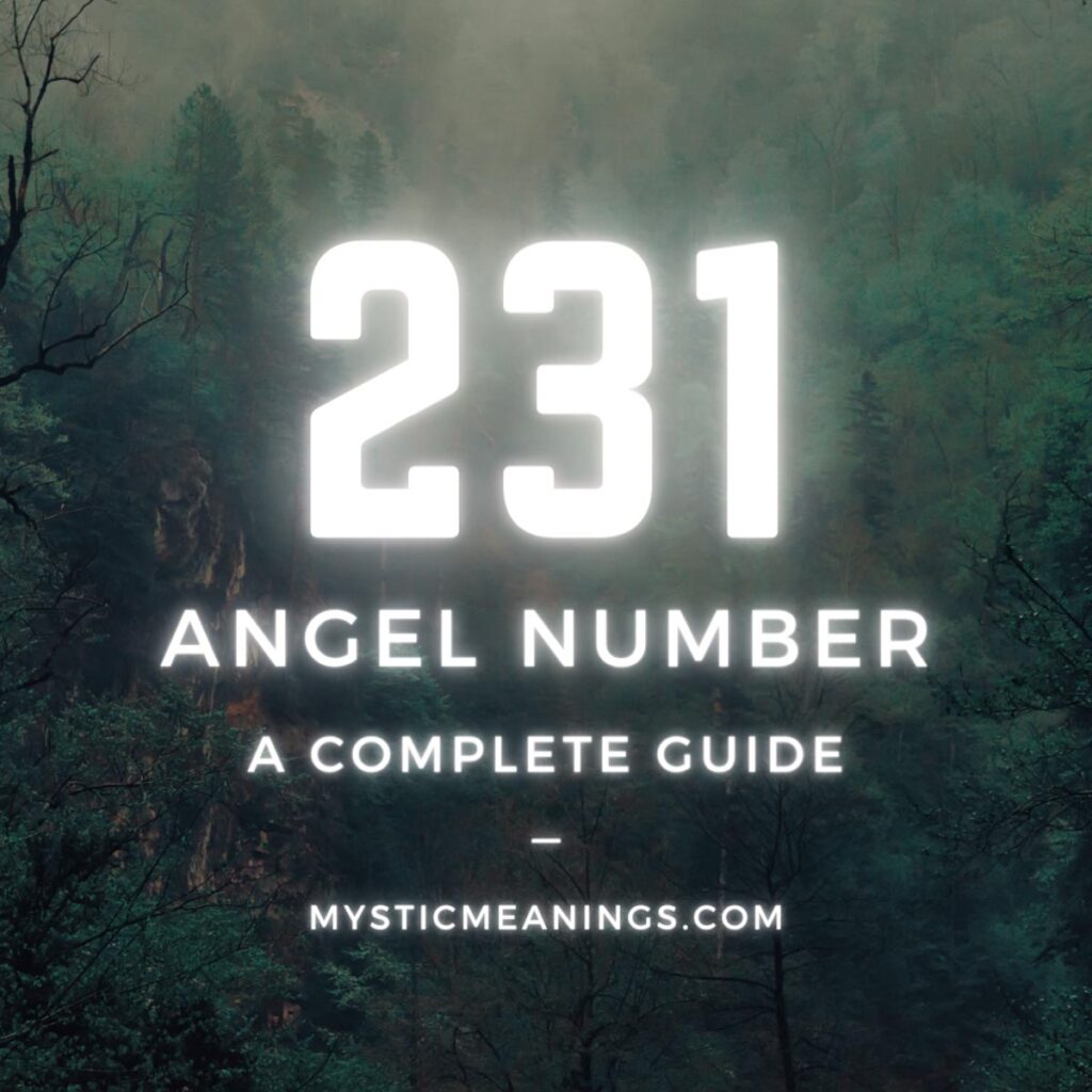 231 angel number guide