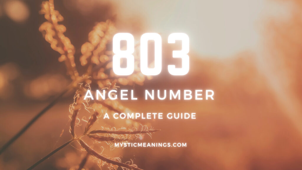 angel number 803 guide