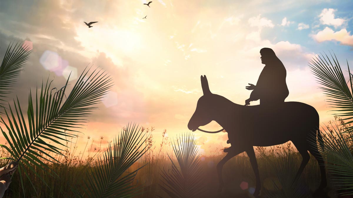 Jesus riding a donkey through a field.