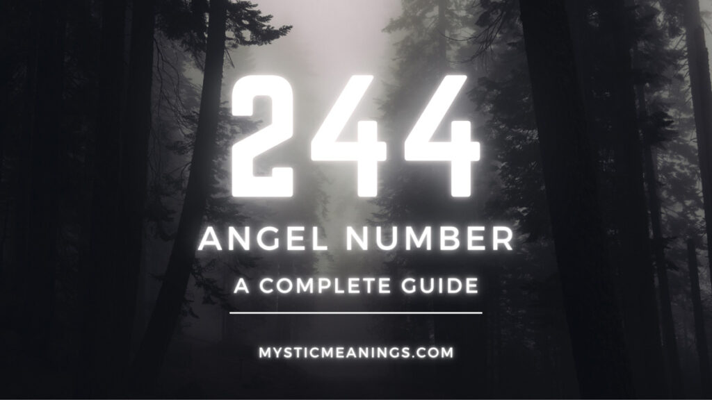 244 angel number guide