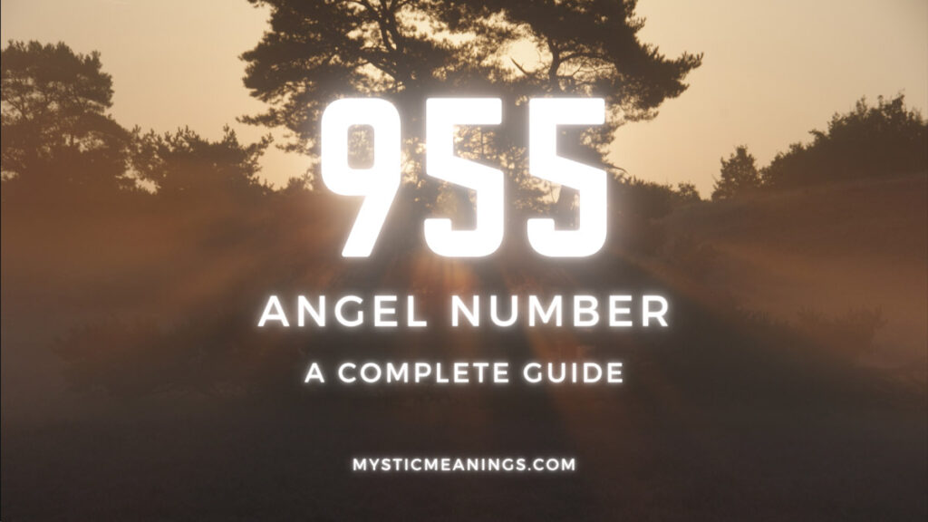 955 angel number guide