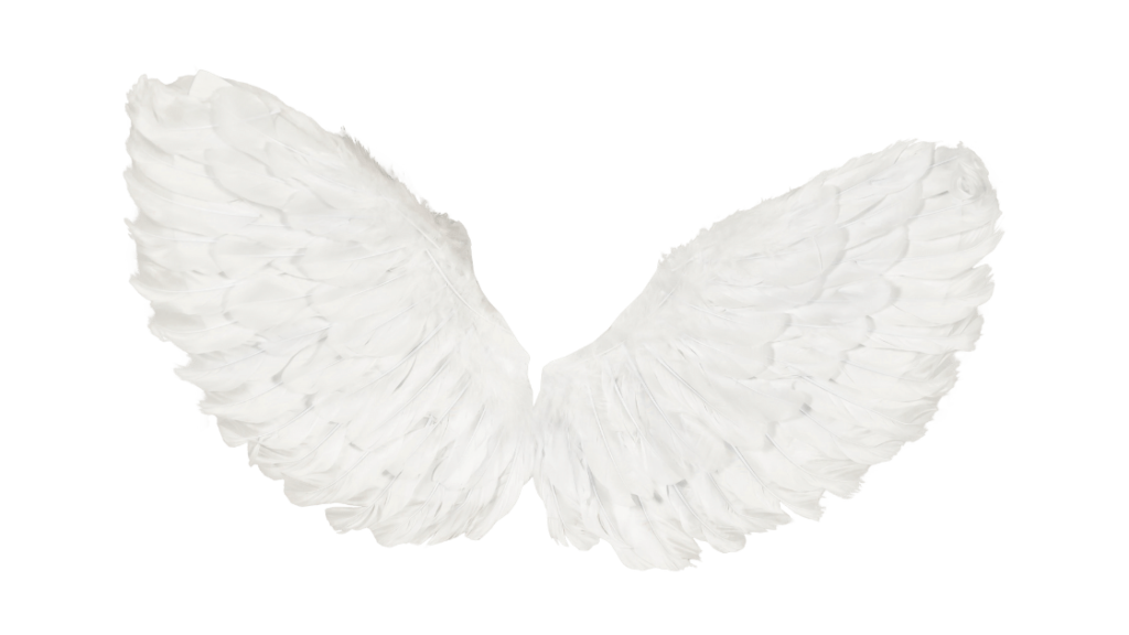 Angel wings.