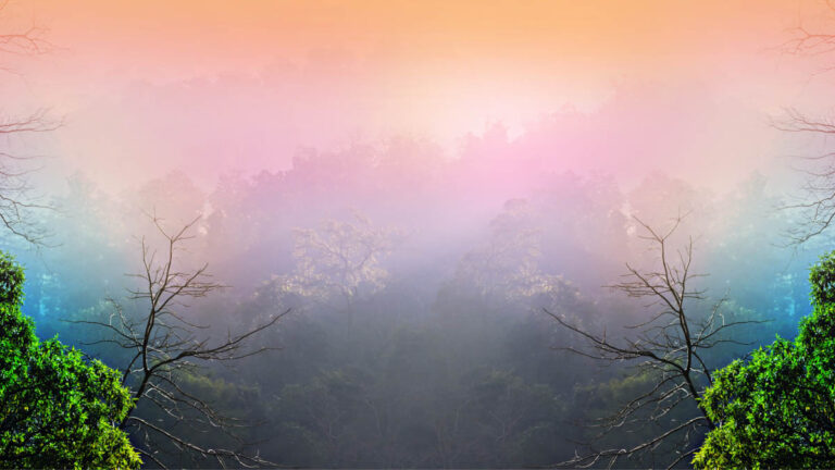 A pink mystical forest.