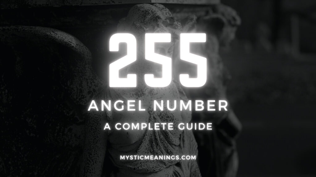 255 angel number guide
