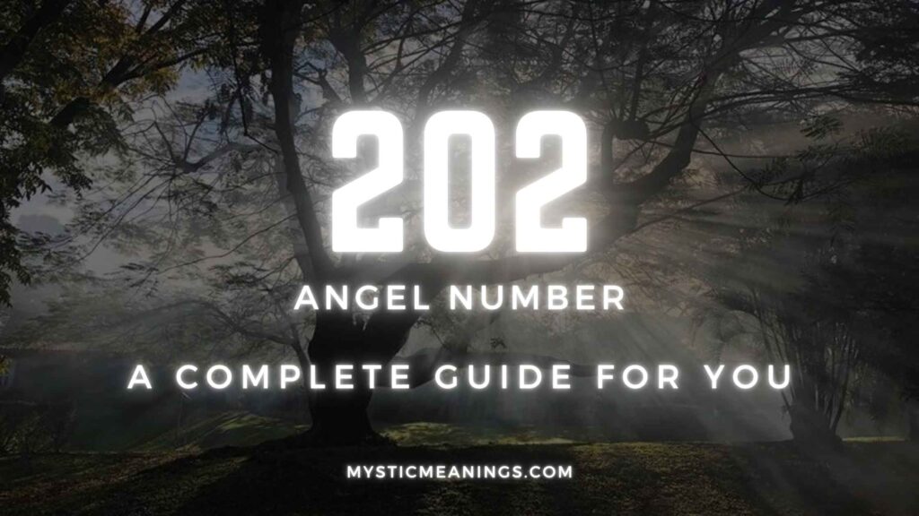 202 angel number guide