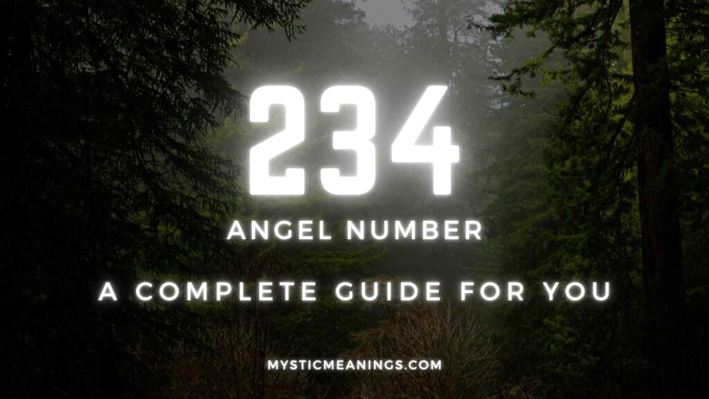 234 angel number guide