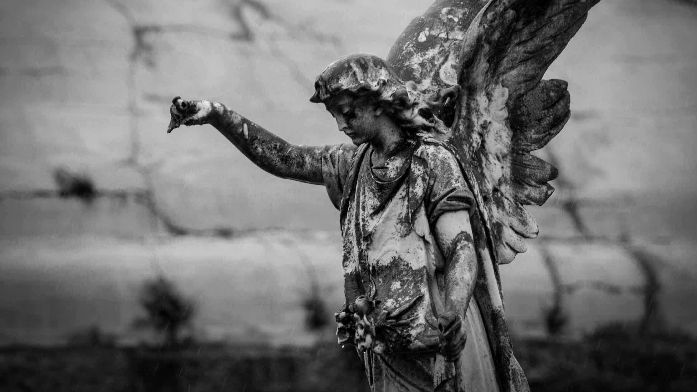 A black and white angel statue.