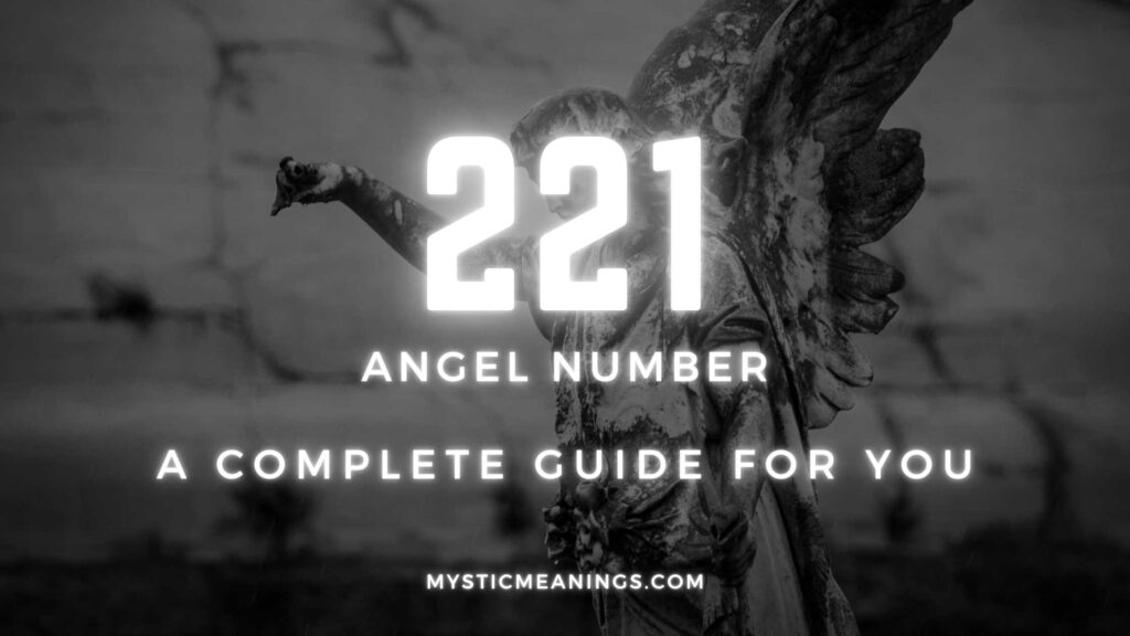221 angel number guide